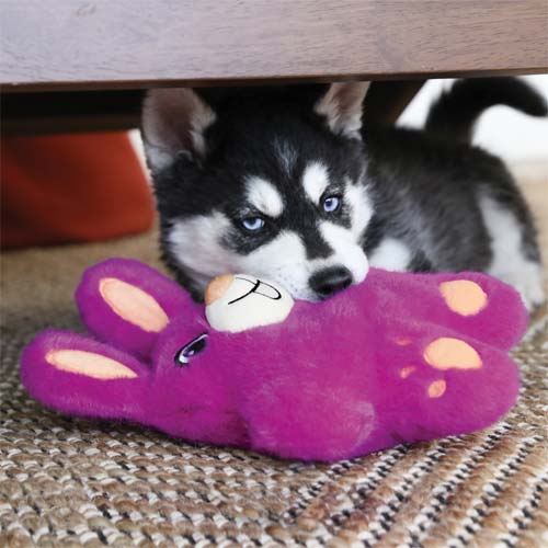 thumbnail image 2 of KONG Snuzzles Dog Toy - Plush Koala With Full-Body Squeaker & Crackly Ears 2 of 9