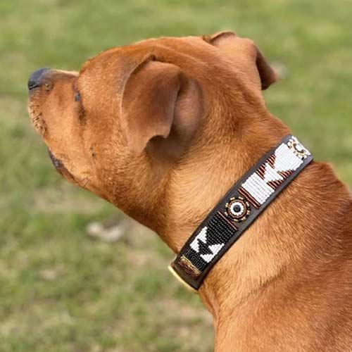 Masai Beaded Dog Collar - Earth