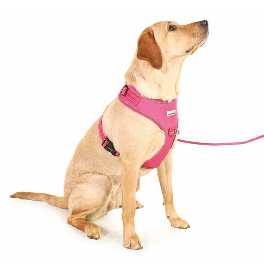 Doodlebone Adjustable Airmesh Dog Harness UK
