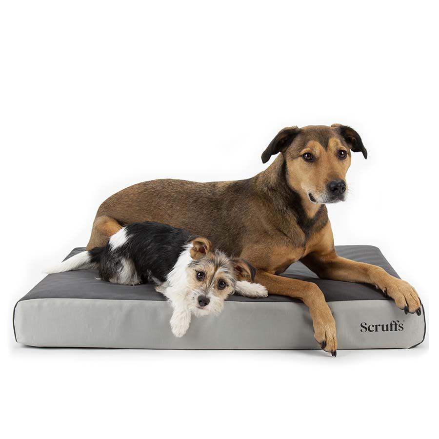 ArmourDillo Orthopaedic Dog Bed | Medium & Large Dogs