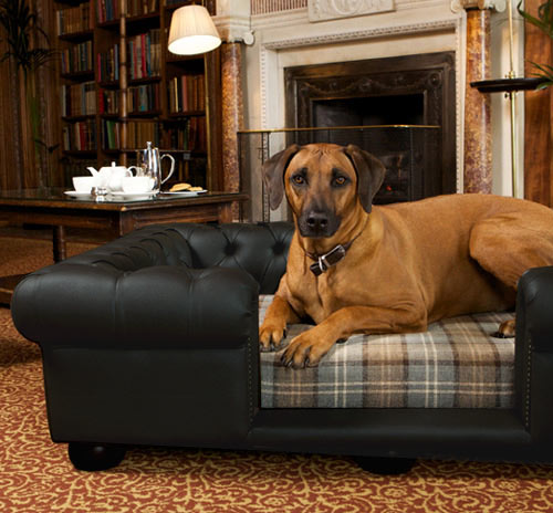 leather dog bed