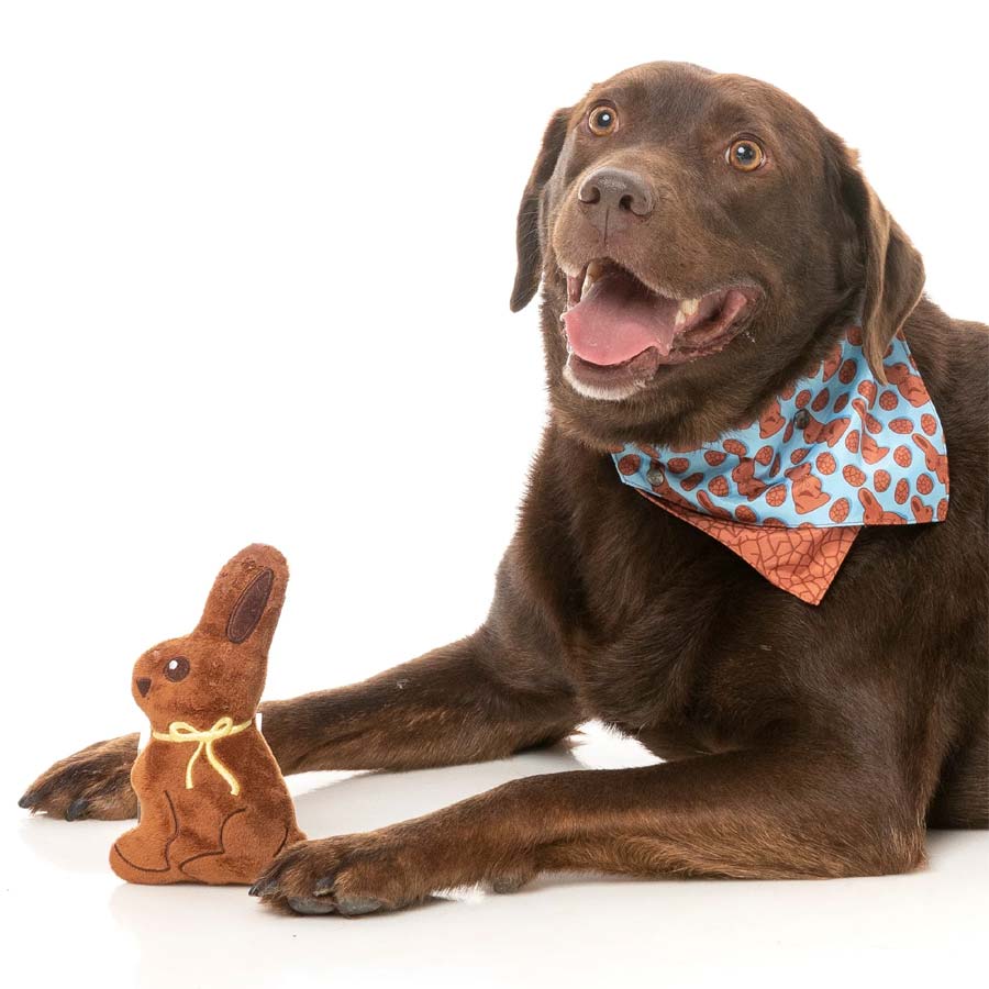 Chocolate Easter Bunny Dog Toy FuzzYard
