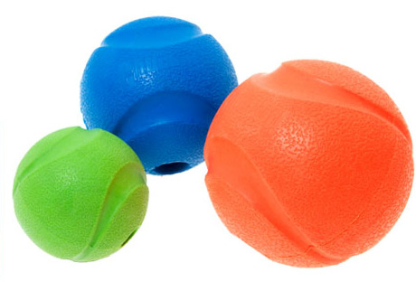 orange dog ball