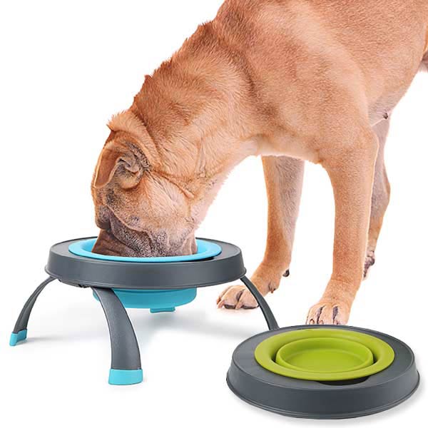 Collapsible Raised Dog Bowl - Single | Folds Flat | D for Dog