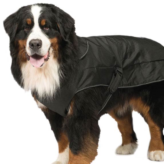 Danish Design 2in1 Dog Coat with Harness Hole