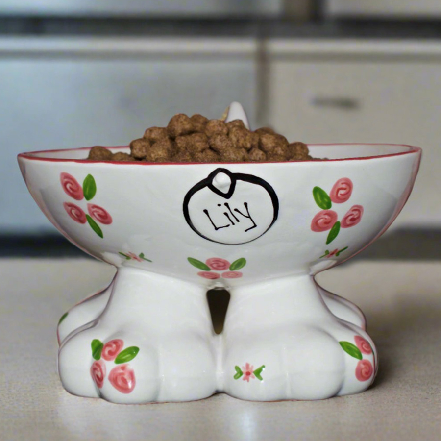 personalized dog bowl set