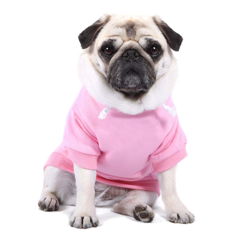 Simple Long Sleeve Hoodie Dog Fashion Regular Hoodie
