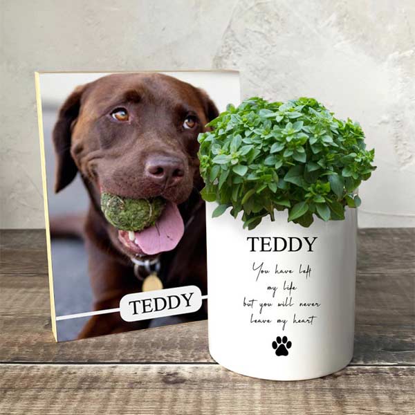 Personalised Pet Memorial Plant Pot & Photo Block