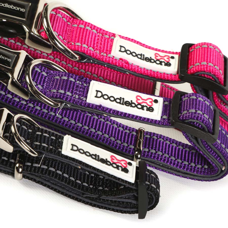 Doodlebone Originals Neoprene Padded Dog Collar