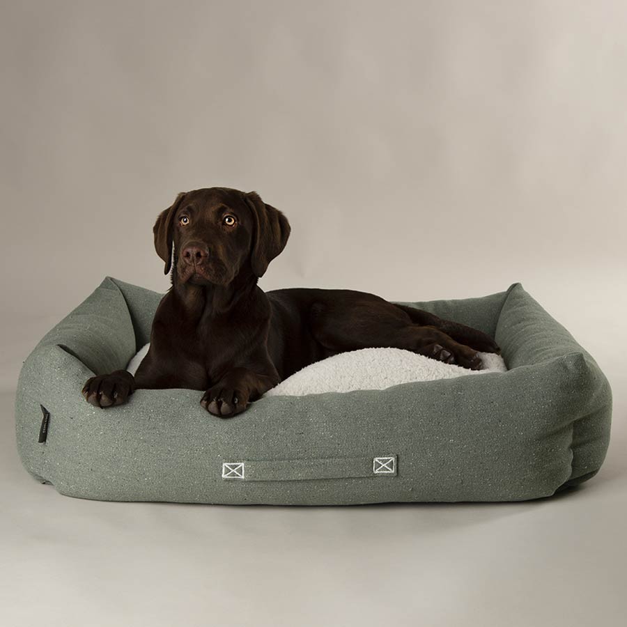 Image showcasing Scruffs Eden Eco-Friendly Dog Bed | Recycled