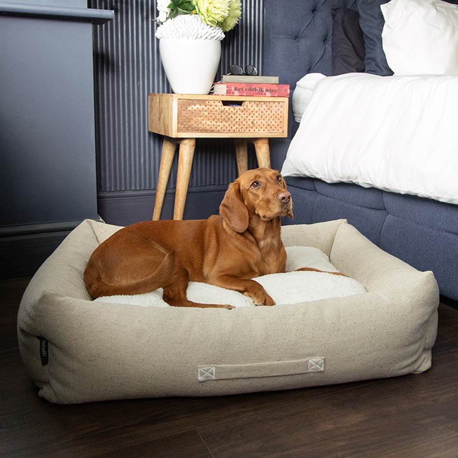 Image showcasing Scruffs Eden Eco-Friendly Dog Bed | Recycled