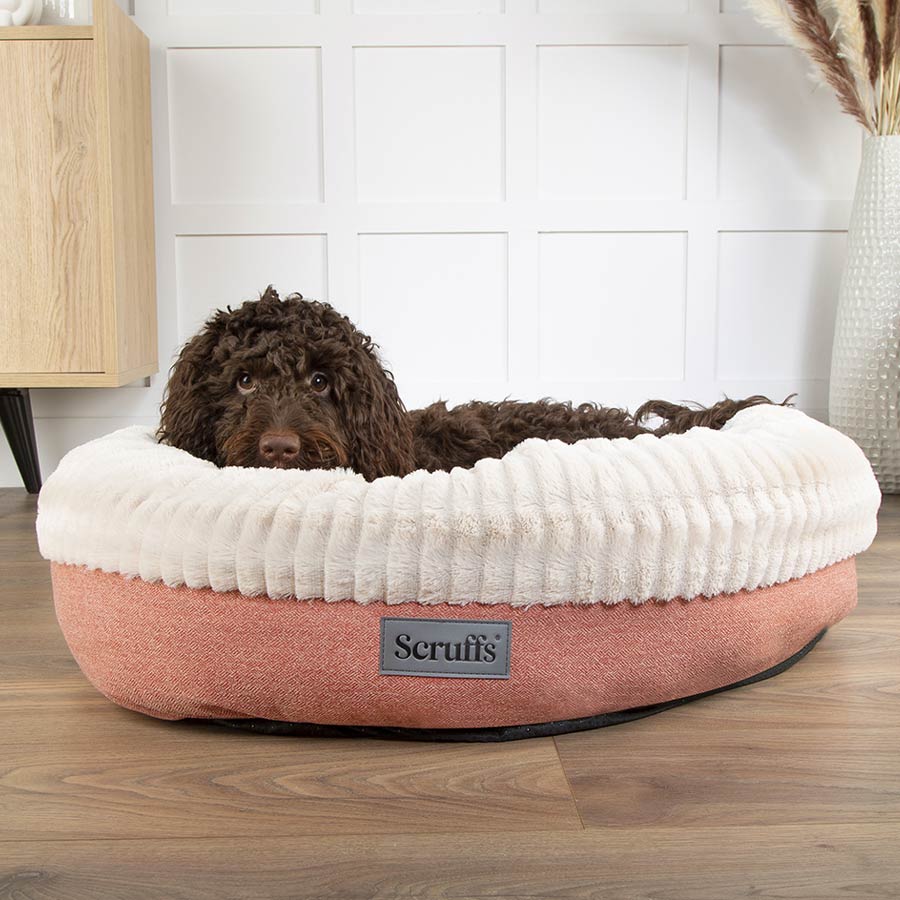 Scruffs Ellen Donut Hundebett Größe M Grau – Mit Kunstfell, Tweed-Bezug, Rutschfester Unterseite