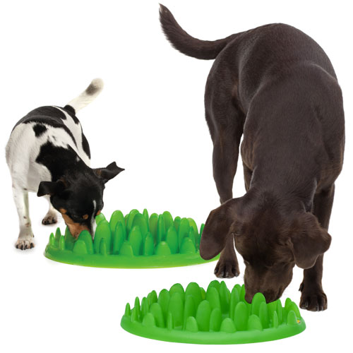 Green Slow Dog Feeder Slows Eating Aids Digestion D For Dog