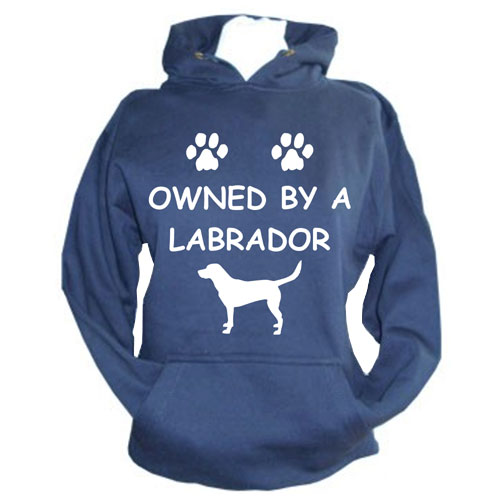 penn foster sweatshirt