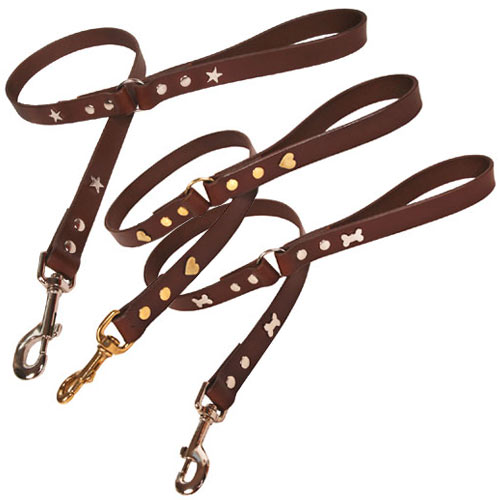 Studded Brown Leather Dog Leads UK D for Dog