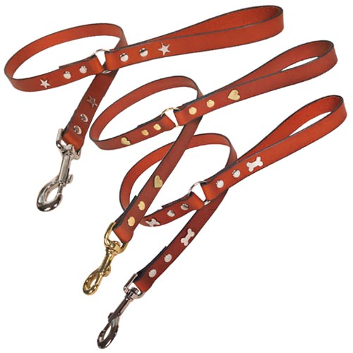 Tan Leather Studded Dog Leads UK D for Dog