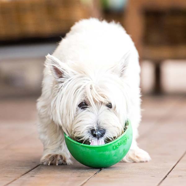 LickiMat Wobble Dog Lick Bowl UK