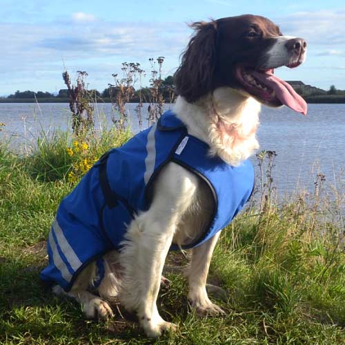 dog jackets waterproof uk dog jackets waterproof uk