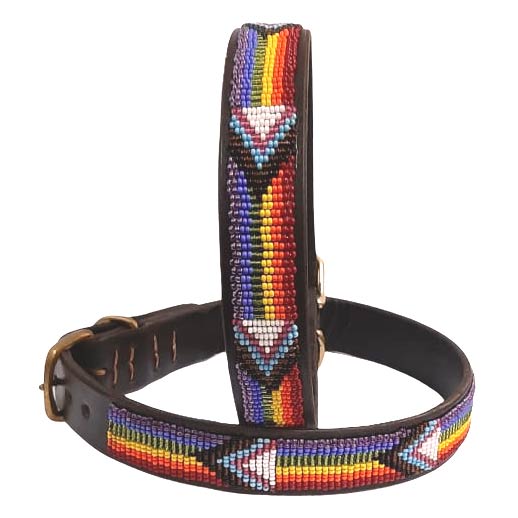 Beaded dog store collar