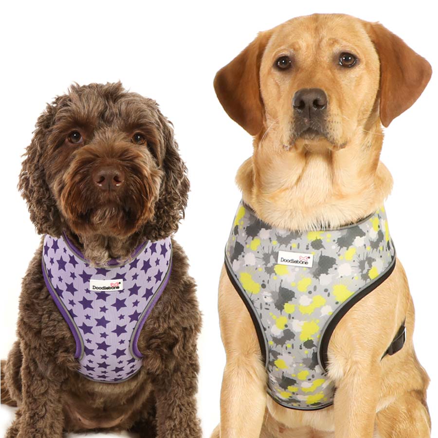DOODLEBONE SNAPPY SOFT AIRMESH COMFORT PUPPY/DOG HARNESSES 7 COLOUR VARIETIES 