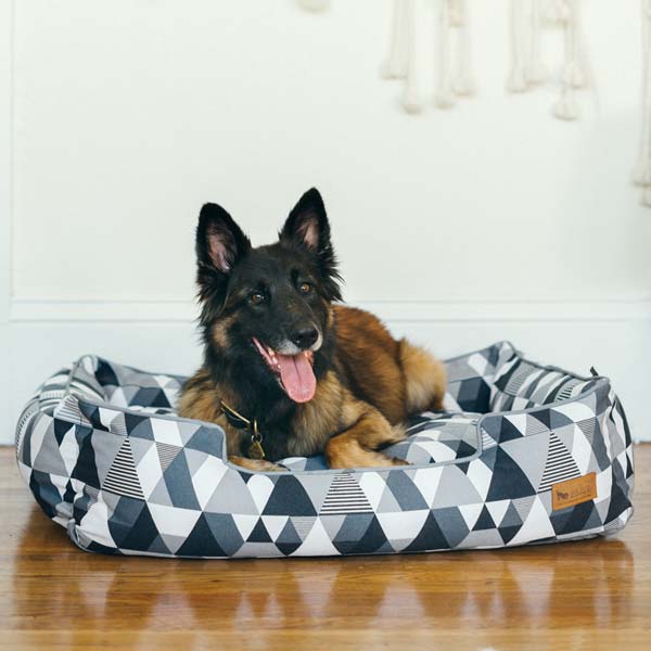 dollar general dog bed