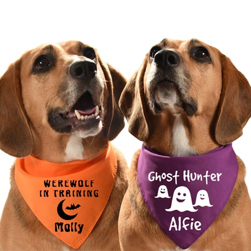 Personalised Halloween Dog Bandanas D for Dog