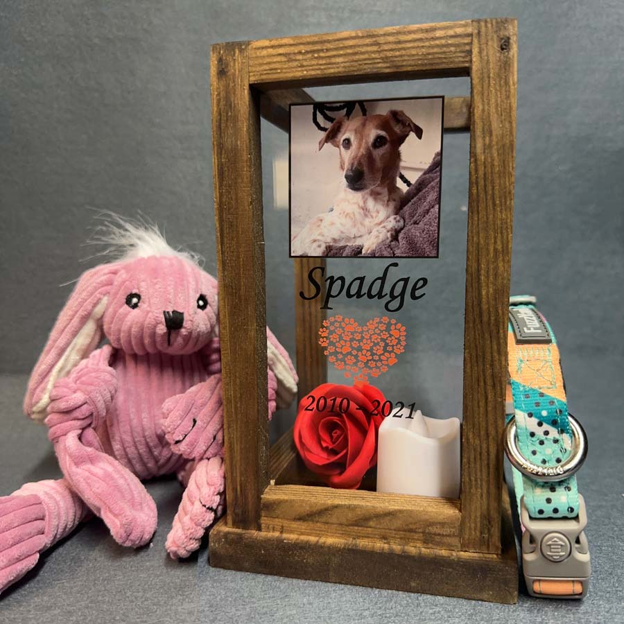Memorial for my shop dog