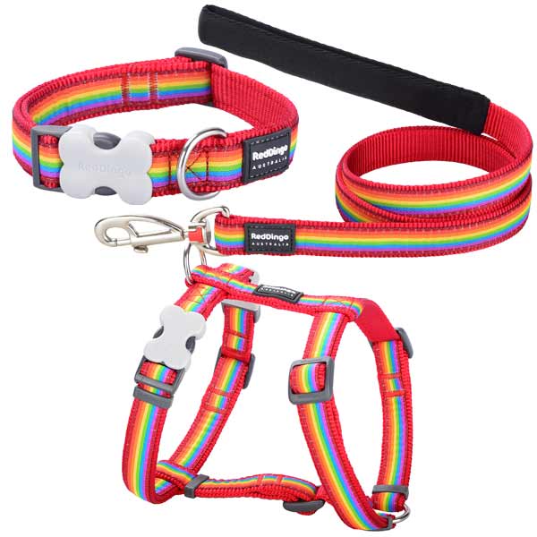 Puppy Collar, Harness & Lead Set Rainbow