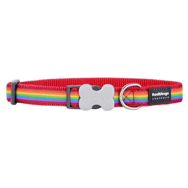 Red Dingo Dog Collar in Colourful Rainbow Design
