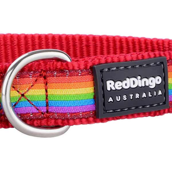 Red Dingo Dog Collar in Colourful Rainbow Design