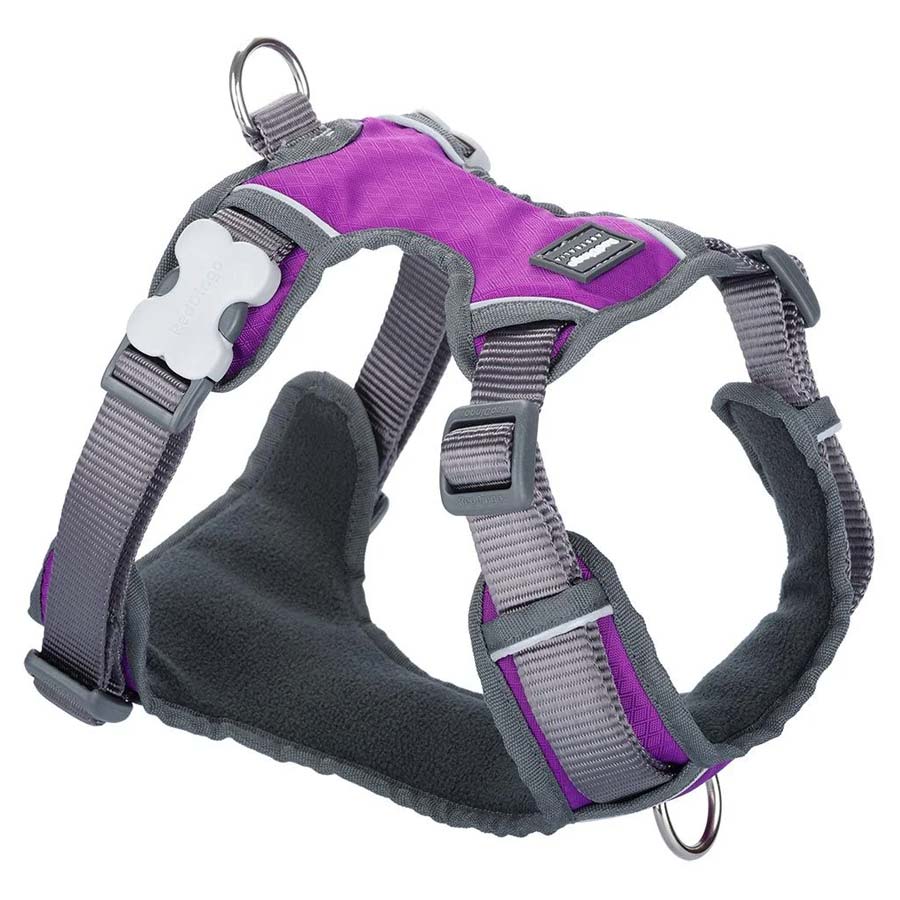 Red Dingo Padded Purple Dog Harness UK