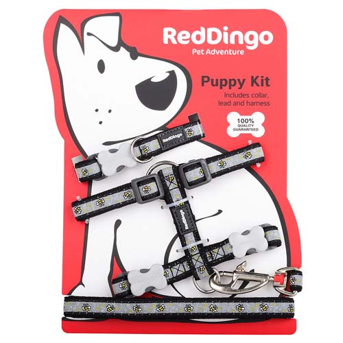 dog foot pads dry rough