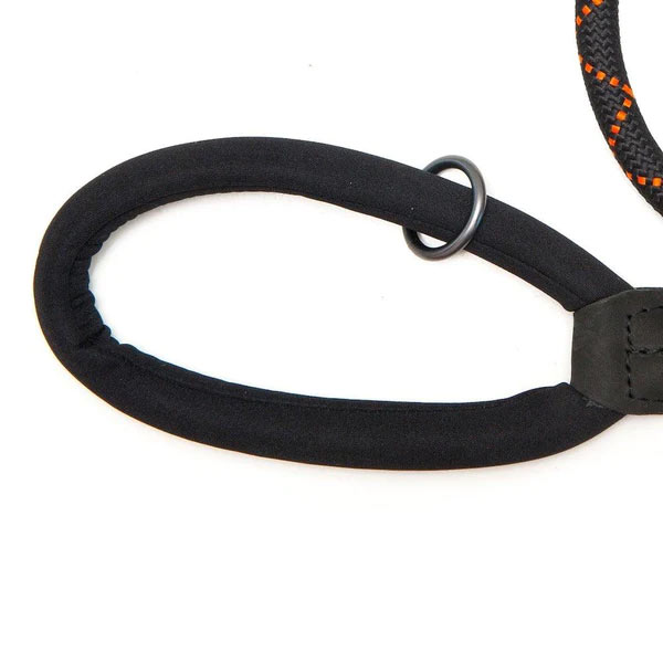 Rope Dog Lead with Secure Lock Carabiner Clip