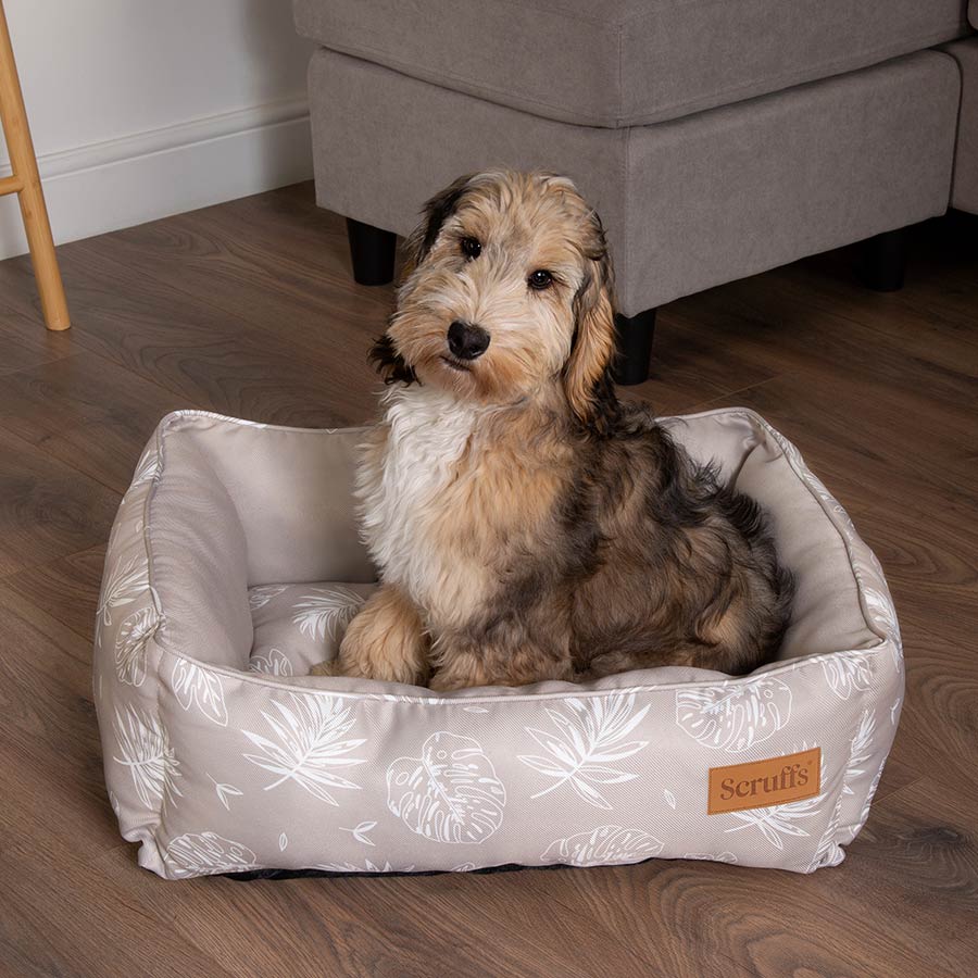 Scruffs Botanical Box Dog Bed UK