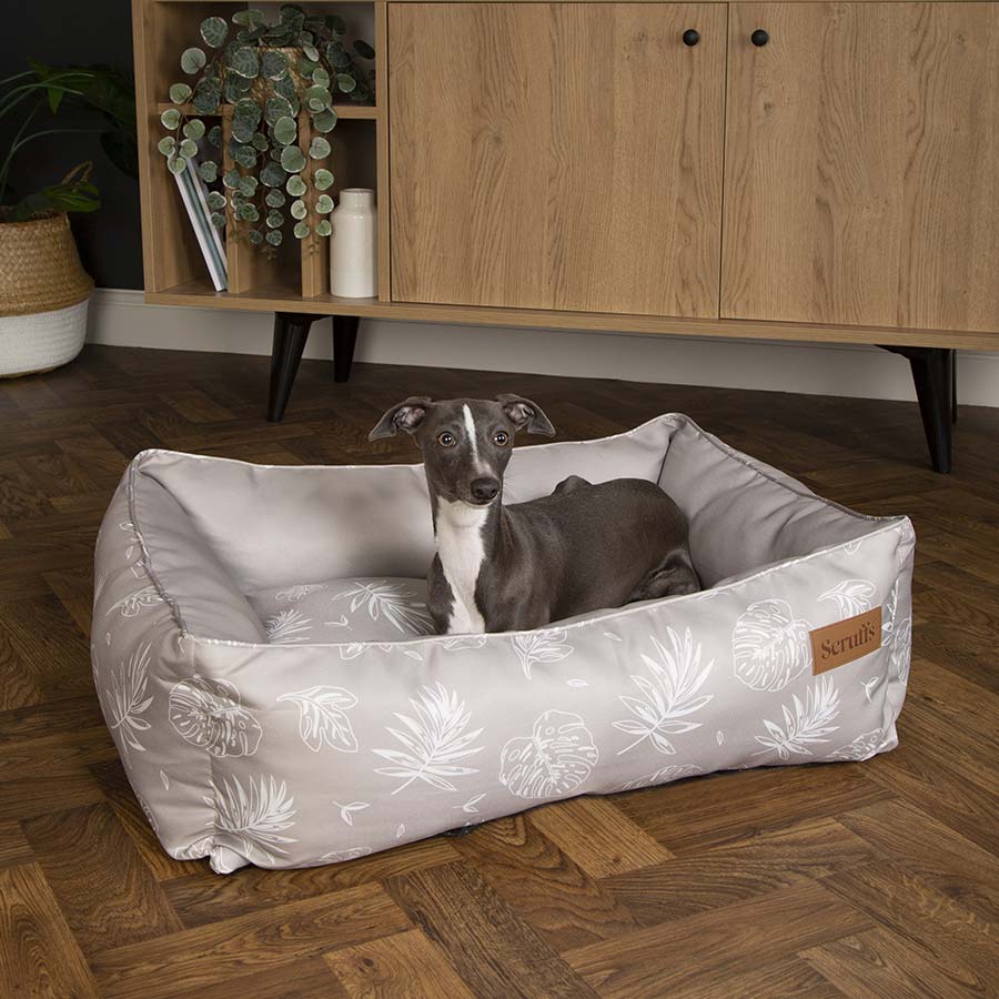 Scruffs Botanical Box Dog Bed UK