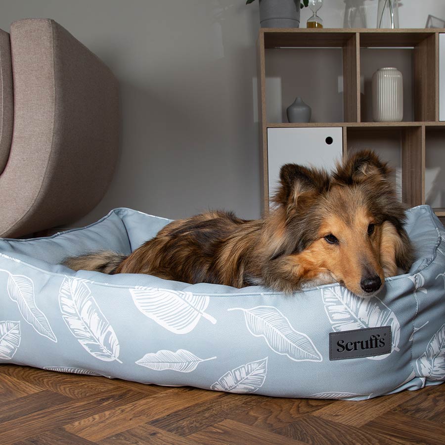 Scruffs Botanical Box Dog Bed UK