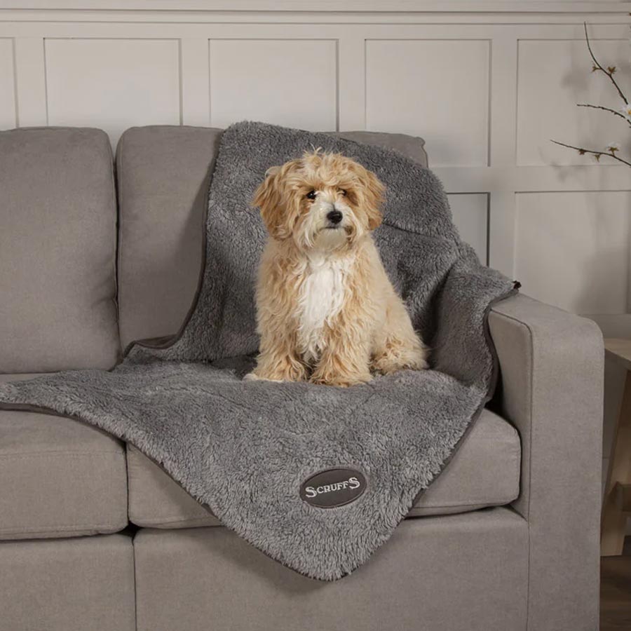 Scruffs Cosy Dog Blanket UK D for Dog