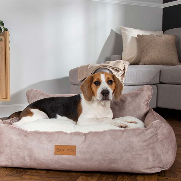 Kensington Deep Filled Luxury Dog Bed UK