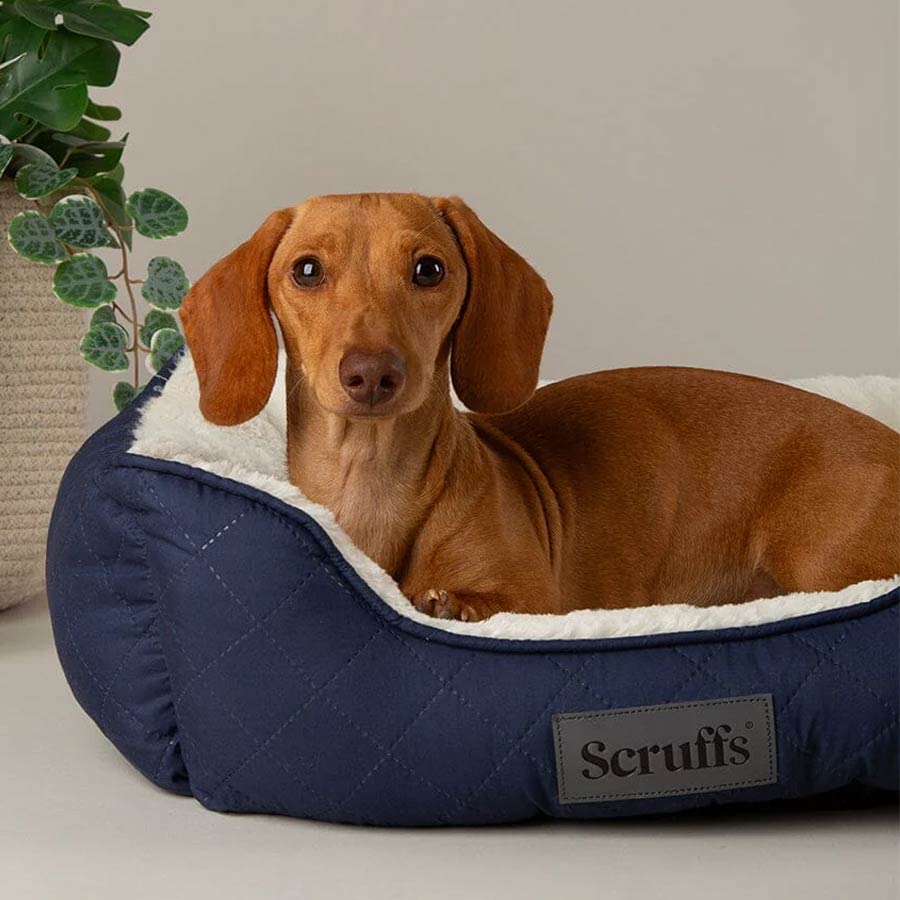 Scruffs Wilton Dog Bed Quilted & Faux Fur D for Dog
