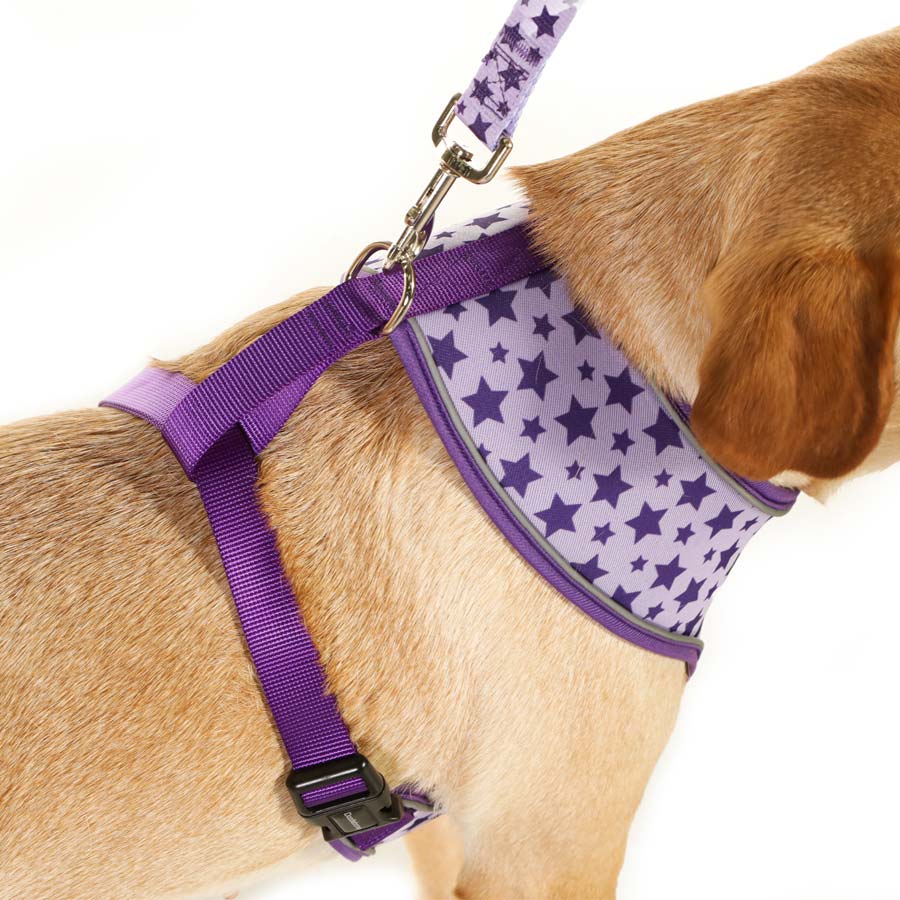 Doodlebone Airmesh Soft Dog Harness UK