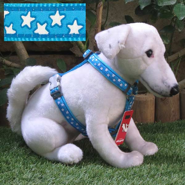 Turquoise Blue Dog Harness with Stars Design Red Dingo