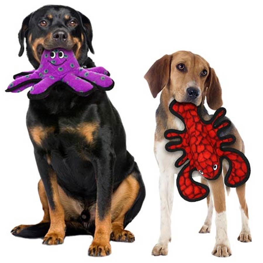 tuffy dog toys rated 10