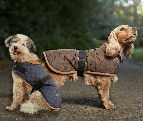 Quilted Dog Coat | Water Resistant 