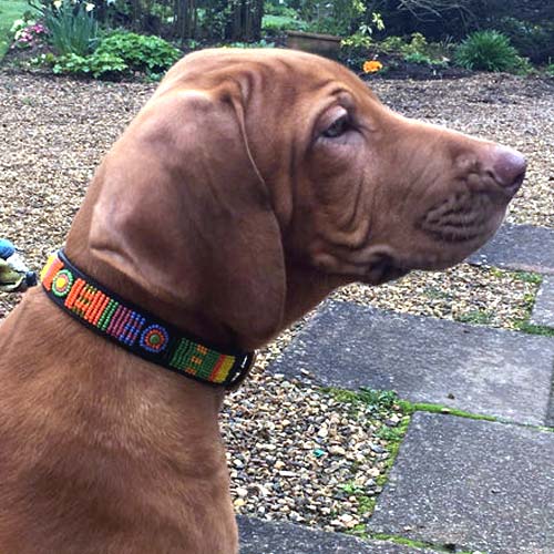 Masai Beaded Dog Collar - Pastel