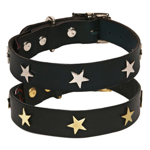 Studded Black Leather Dog Collar