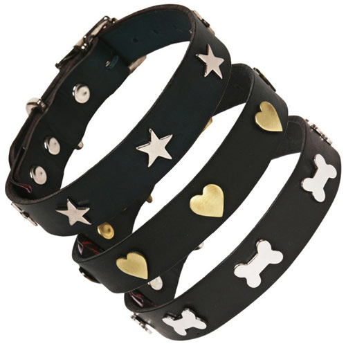 Studded Black Leather Dog Collar UK Made D for Dog