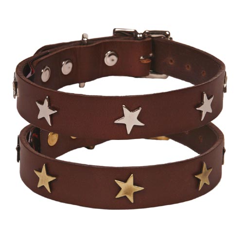 Studded Brown Leather Dog Collar