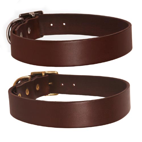 dog collars