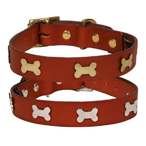 Tan Leather Studded Dog Collars UK D for Dog