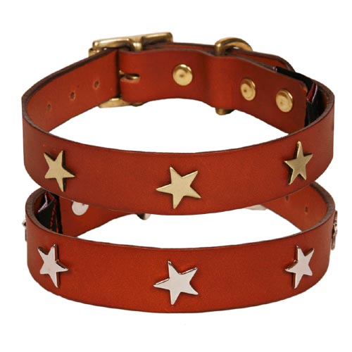 Studded Tan Leather Dog Collar